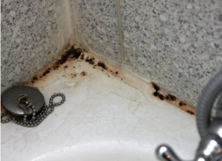 ZABORAVITE SODU BIKARBONU I SIRĆE: Jedna namirnica koju već imate u kući čini da kamenac nestane duplo brže, TOPI ČAK I RĐU