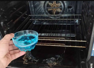 Jeste li znali da MOŽETE bez napora očistiti masnu i prljavu pećnicu za 5 minuta?