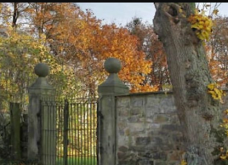 Mnogi nisu uspjeli: Ako za 12 sekundi pronađete skrivenu ženu na fotografiji, imate visok IQ