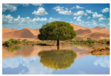 Sreća i blagostanje će se useliti u kuću i novac će kapati kao kiša: Samo postavite ovaj predmet u blizini ulaznih vrata