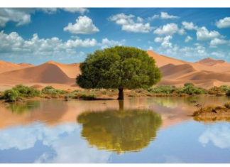 Sreća i blagostanje će se useliti u kuću i novac će kapati kao kiša: Samo postavite ovaj predmet u blizini ulaznih vrata