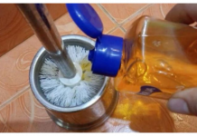 Kupujem šampon, ali ne perem kosu njime: RAZLOG zašto bi kod kuće trebalo da imate nekoliko boca jeftinog šampona!