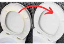 Savršen TRIK moje svekrve za uklanjanje ŽUTE mrlje sa WC daske: Kao nov je!