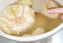 GRKINJA JE DVE GODINE SVAKI DAN JELA KISELI KUPUS: Otišla da IZVADI KRV, kad joj je DOKTOR SAOPŠTIO OVO ZANEMELA JE