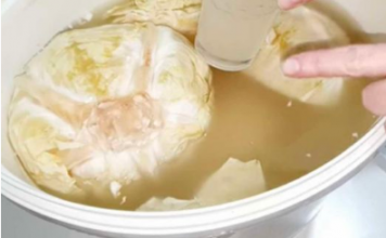 GRKINJA JE DVE GODINE SVAKI DAN JELA KISELI KUPUS: Otišla da IZVADI KRV, kad joj je DOKTOR SAOPŠTIO OVO ZANEMELA JE