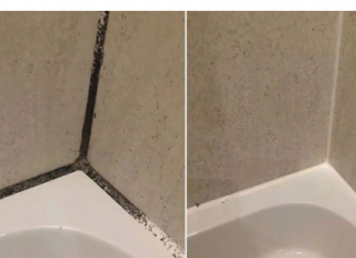 KAMENAC I PRLJAVŠTINA U PUKOTINAMA BUKVALNO SU NESTALI PRED NAŠIM OČIMA: Kućni trik kojim sam očistila kupatilo staro 20 godina u TOP stanju!