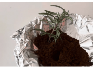 JEDNOSTAVNO zabodite ruzmarin u kafu! EFEKAT je zapanjujuć!