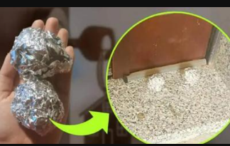 Kada ste u radnji, uzmite i ALUMINIJUM: Kod kuće, samo ga zgužvajte i stavite ispred vrata, ovaj problem će potpuno nestati!