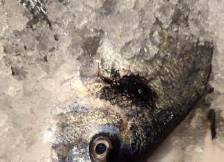 Evo koju ribu Srbi najviše kupuju za SLAVE I POST, nisu som i šaran, a evo kako da znate da je riba SVEŽA