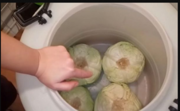 Najbolji kiseli kupus imaćete ako bure prekrijete ovim, NEĆETE MORATI NI DA PRETAČETE RASOL