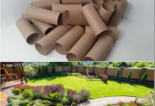 Ne bacajte rolnu toalet papira: Jedna žena je napravila čudo – i svi će ovog proleća posmatrati njeno dvorište