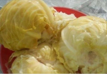 Ukiselili ste kupus, a NISTE DODALI OVU VOĆKU: Brzo u kacu ubacite samo 2 KRIŠKE – Bit ćete nam zahvalni (RECEPT)