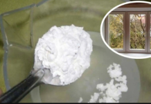 Pred praznike sam pokušala da operem prozore po savetu moje bake, a drugačije ne radim: Baš su čisti već POLA GODINE!