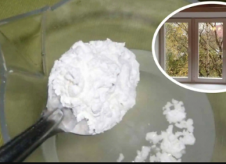 Pred praznike sam pokušala da operem prozore po savetu moje bake, a drugačije ne radim: Baš su čisti već POLA GODINE!