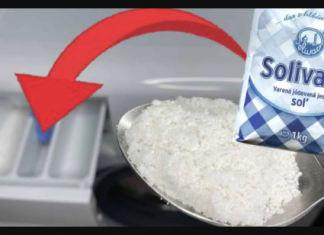 Znate li zašto u veš stavljati običnu SOL umesto praha? Razlog je neprocjenjiv!