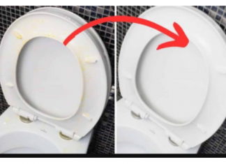 Savršen TRIK moje svekrve za uklanjanje ŽUTE mrlje sa WC daske: Kao nov je!