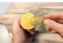Samo zapiknite lovorov list u limun! UČINAK JE ZAPANJUJUĆ!