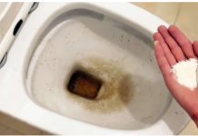 Zaboravite OCAT: Ovaj puder iz kuhinje čisti toalet dok čekate – bez kamenca, žutih mrlja i mirisa!
