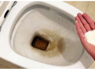 Zaboravite OCAT: Ovaj puder iz kuhinje čisti toalet dok čekate – bez kamenca, žutih mrlja i mirisa!