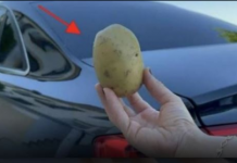 Imati 1 krompir u autu može vam spasiti život i niko vam to neće reći!