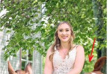 OVA SLIKA JE NAJVEĆI HIT, LJUDI PLAČU OD SMIJEHA: Kad vidite donji dio slike NEĆE VAM BITI DOBRO