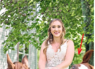 OVA SLIKA JE NAJVEĆI HIT, LJUDI PLAČU OD SMIJEHA: Kad vidite donji dio slike NEĆE VAM BITI DOBRO