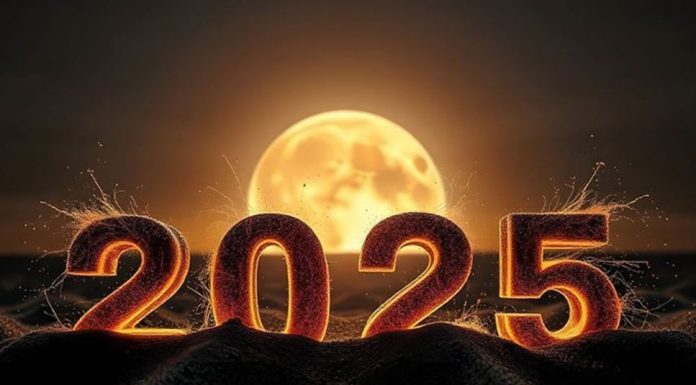 GODINA ZMIJE ĆE IM DONIJETI POSEBNU SREĆU: Ovim znakovima će u 2025 godini svemir sve ŽELJE ISPUNITI