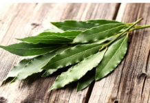 Stavite lovorov list ispod jastuka još večeras: Ujutru ćete biti iznenađeni efektom