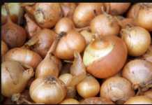 UZ OVU CAKU BIĆE SVJEŽ MJESECIMA: Evo gdje je najbolje čuvati crni luk da ne proklija, domaćice moraju znati