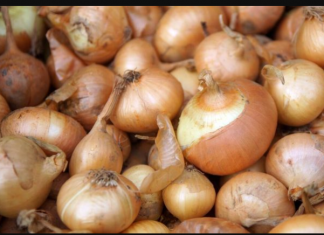 UZ OVU CAKU BIĆE SVJEŽ MJESECIMA: Evo gdje je najbolje čuvati crni luk da ne proklija, domaćice moraju znati