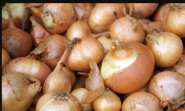 UZ OVU CAKU BIĆE SVJEŽ MJESECIMA: Evo gdje je najbolje čuvati crni luk da ne proklija, domaćice moraju znati