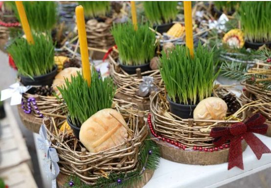 Božićna pšenica donosi sreću i blagostanje: Evo kad treba da je posijete ako želite plodnu 2025.