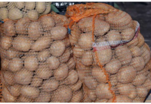 Deda ga je uvijek bacao u kesu sa krompirom i izdržali su do sledeće berbe: Ni jedan nije proklijao!