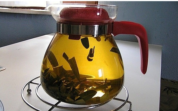 U BIBLIJI SE SPOMINJE 1000 PUTA: Skuhajte čaj koji liječi od najtežih bolesti (RECEPT)