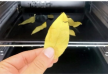 Stavite običan list LOVORA u rernu i uključite na 20 minuta: ZA OVO SVI TREBA DA ZNAJU