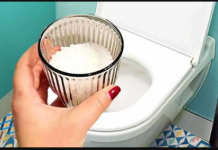 SAMO JEDNOM MJESEČNO UZMITE čašu kuhinjske soli i sipajte je u wc šolju: Sjajan kućni trik za uštedu novca!