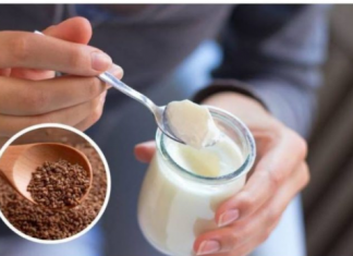 POLA KAŠIČICE OVIH SJEMENKI SIPAJTE U JOGURT – LIJEK ZA ŽENE U MENOPAUZI: Sprječava upale, čuva kosti, skida kilograme!