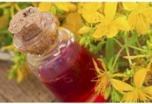 Kantarionovo ulje uvijek imajte u kući, jer jedna bočica liječi 10 bolesti