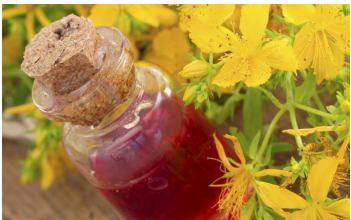 Kantarionovo ulje uvijek imajte u kući, jer jedna bočica liječi 10 bolesti