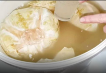 GRKINJA JE DVE GODINE SVAKI DAN JELA KISELI KUPUS: Otišla da IZVADI KRV, kad joj je DOKTOR SAOPŠTIO OVO ZANEMELA JE