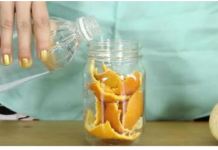 POTOPILA je kore od pomorandži u SIRĆE! Kada vidite ŠTA je dobila, stalno ćete ga koristiti!