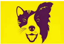 TEST OTKRIVA VAŠE VRLINE I MANE: Da li vidite psa ili mačku, pokazuje vašu najranjiviju tačku