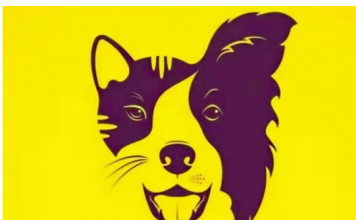 TEST OTKRIVA VAŠE VRLINE I MANE: Da li vidite psa ili mačku, pokazuje vašu najranjiviju tačku