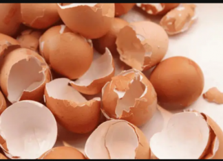 NIKADA IH NE BACAJTE: Ljuske od jaja su vrjednije nego što mislite. Malo ljudi to shvaća!