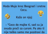 VIC: Mujo sretne Cecu