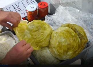 NE MOŽE DA UKISELI, KOLIKO SE TRAŽI: Obrenovčanka od kiselog kupusa napravila biznis, ukiselila TONE – NE ZNA SE ŠTA BOLJE IDE, GLAVICE IL’ LISKE