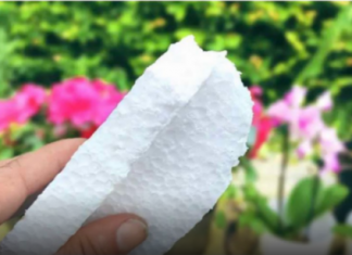 NIKADA ne bacajte ostatke stiropora! Vrijedi zlata!