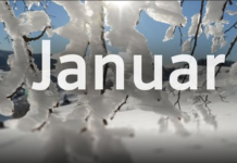 Čeka ih težak januar: JEDAN ZNAK HOROSKOPA NEKA SE POSEBNO ČUVA OVOG DATUMA !