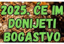 Ova 2 znaka će u 2025. godini dobiti SILNO BOGATSTVO, neće znati gde sa parama!