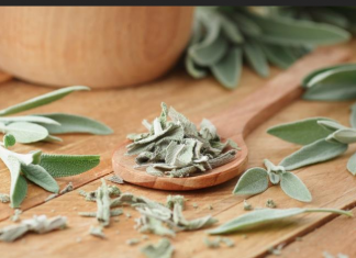 OVU BILJKU MORATE UVIJEK DA NOSITE SA SOBOM: Zaboravit ćete na bolesti, loš san i depresiju